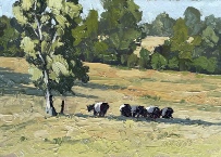 Lingering-cows