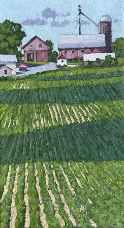 Corn-Ribbons